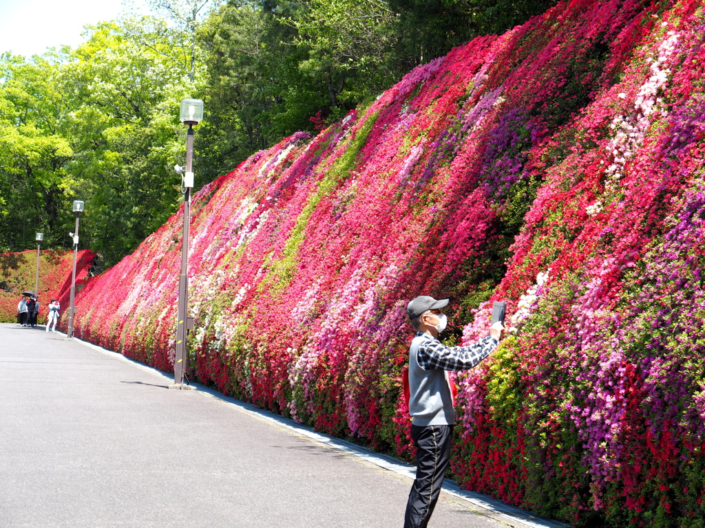 豊田市花めぐり５