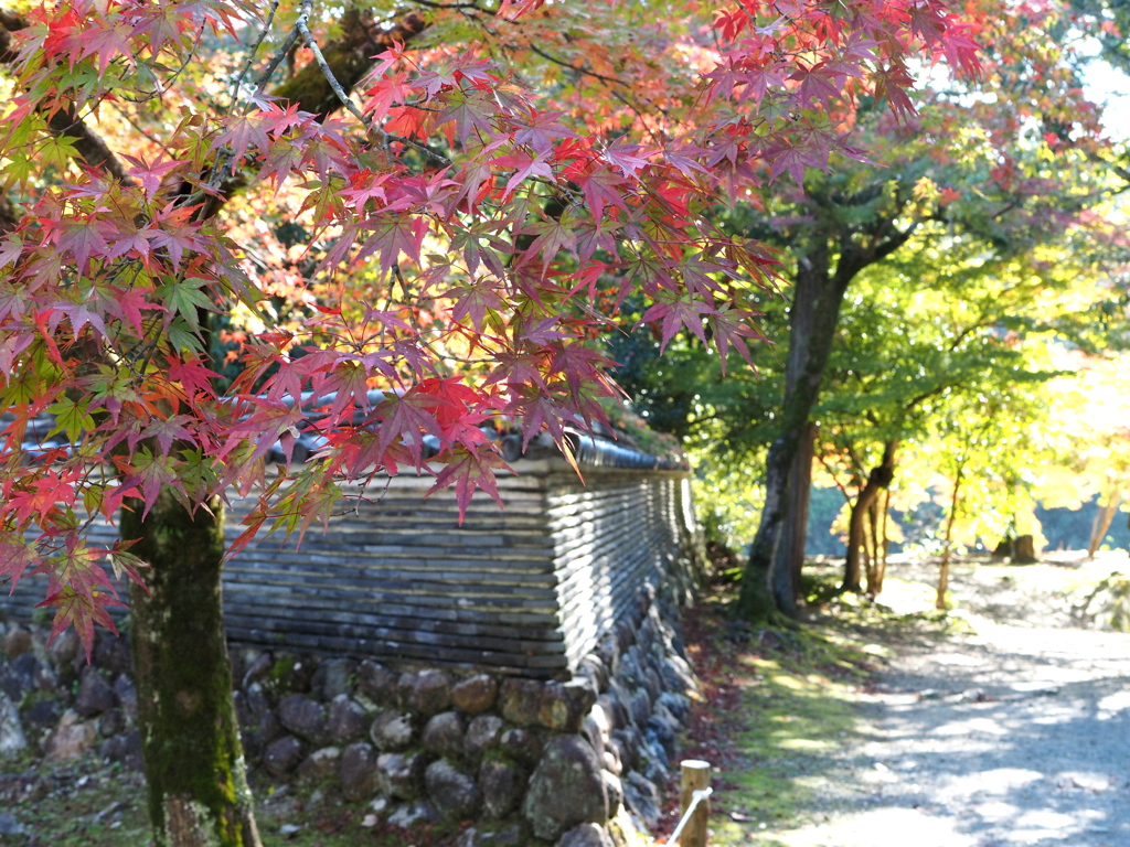 虎渓山 永保寺にて