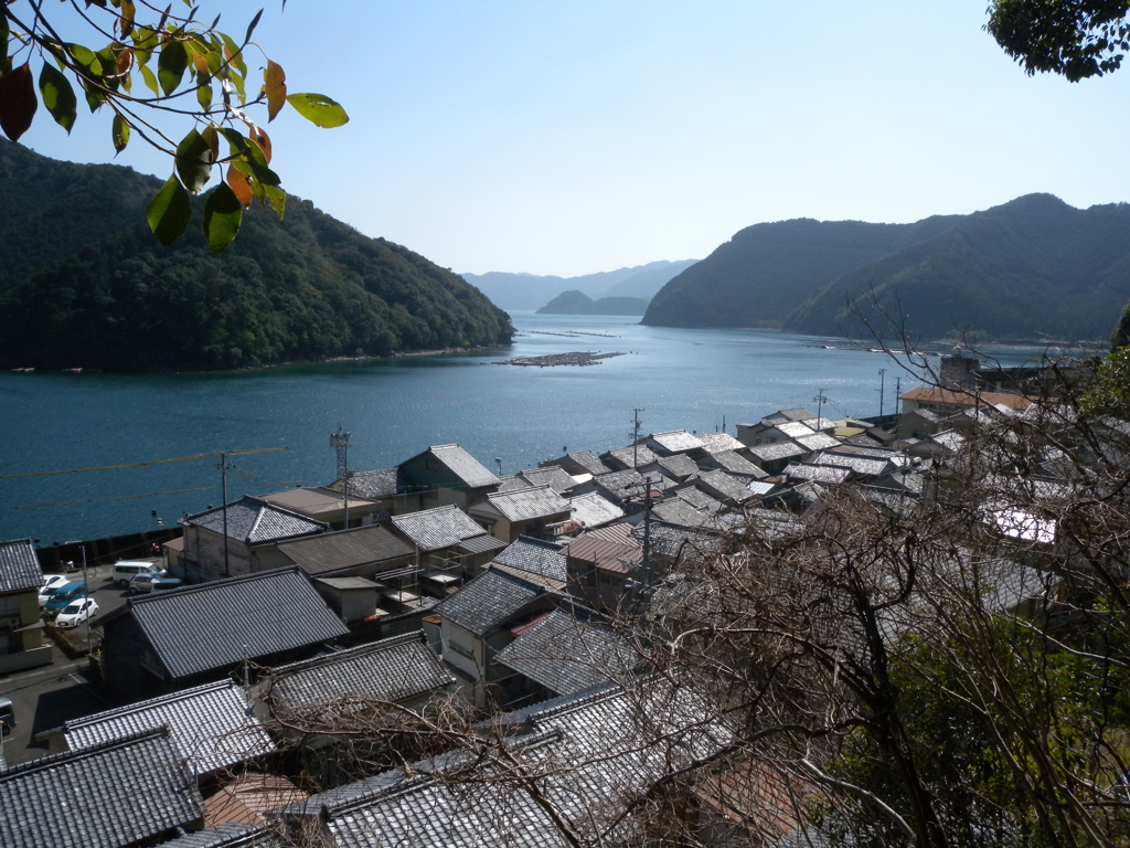 丘の上から。