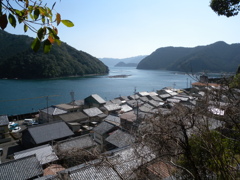 丘の上から。