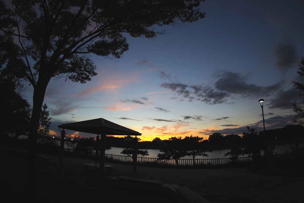 三好池・夕刻