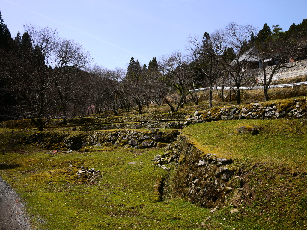 田舎の光景