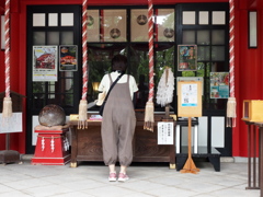 参拝