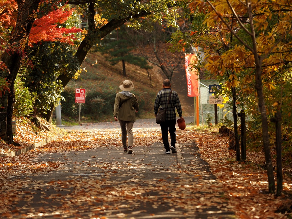 落ち葉の中をお散歩のご夫婦