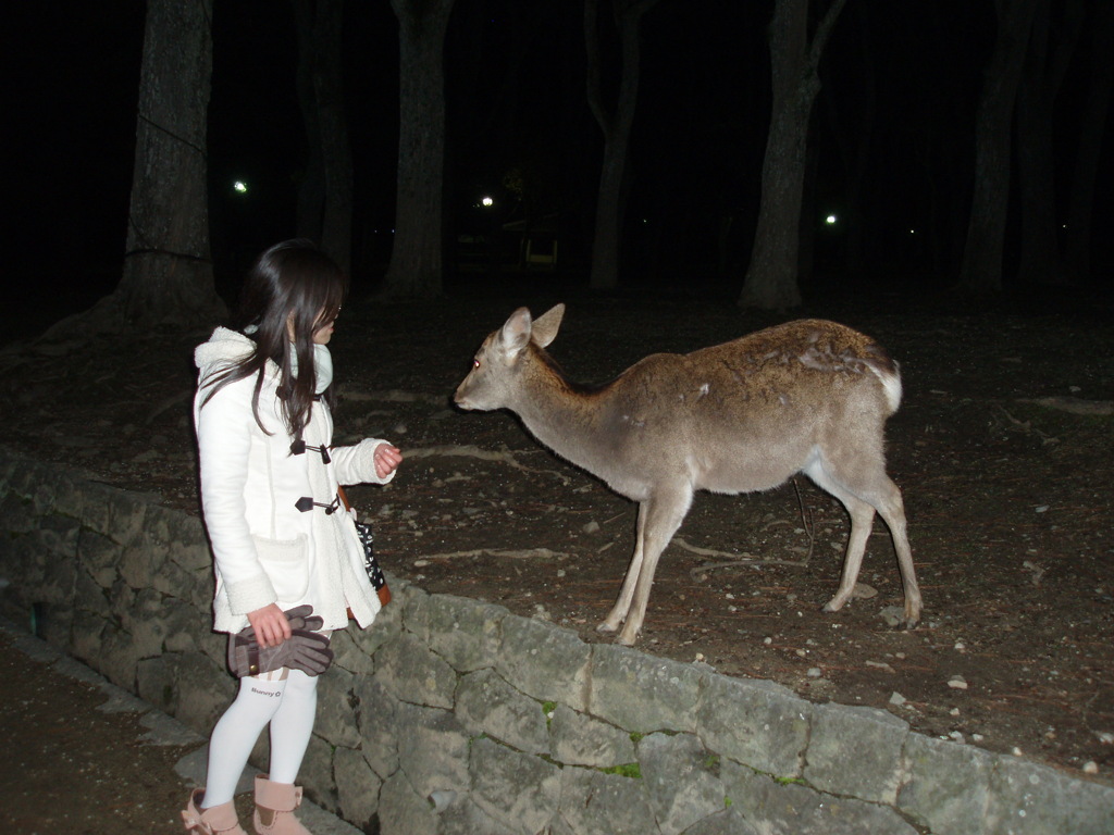 鹿と女性。