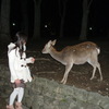 鹿と女性。