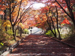 豊田市民芸館再訪４