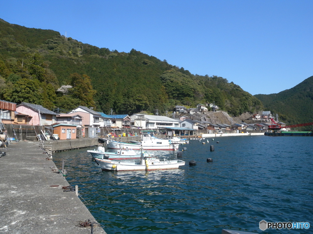 須賀利港