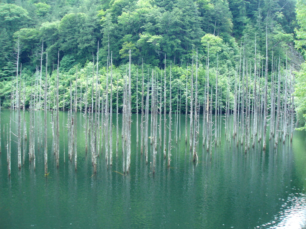 自然湖１