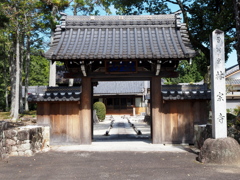 残暑厳しい日の写活①