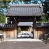 残暑厳しい日の写活①