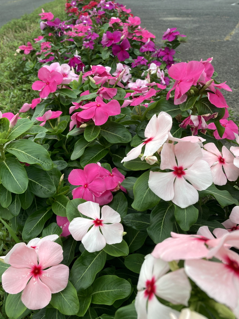 公園にて