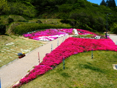 豊田市花めぐり２