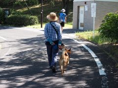 お散歩