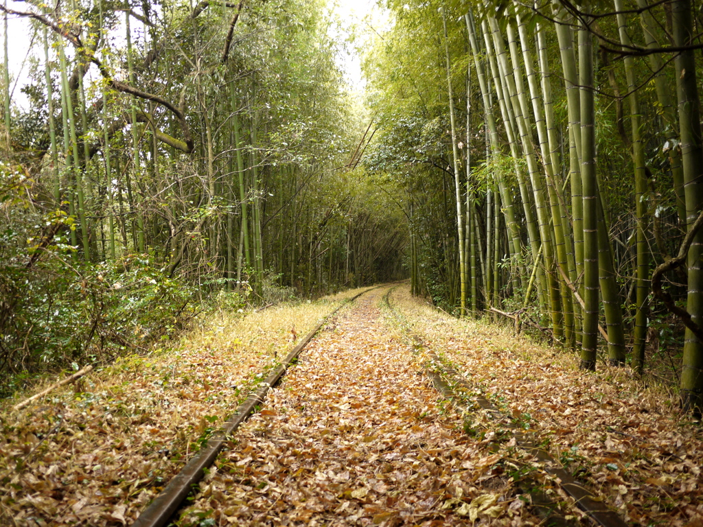 廃線散歩。
