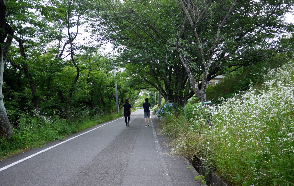 仲良し
