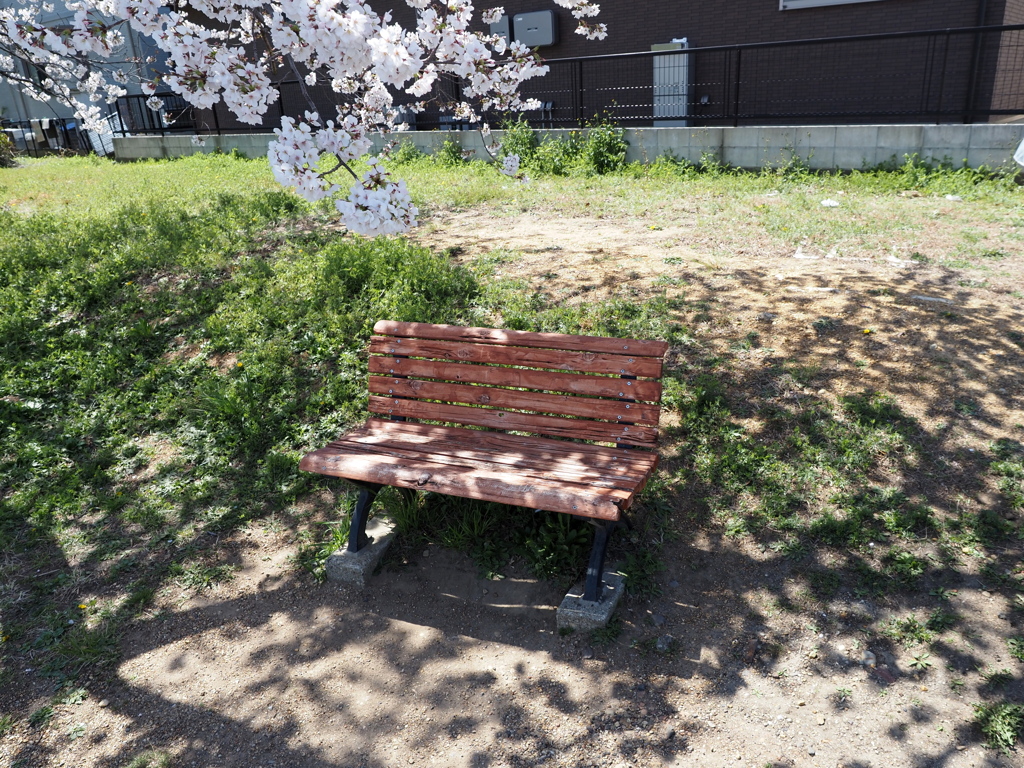 桜の下でひと休み
