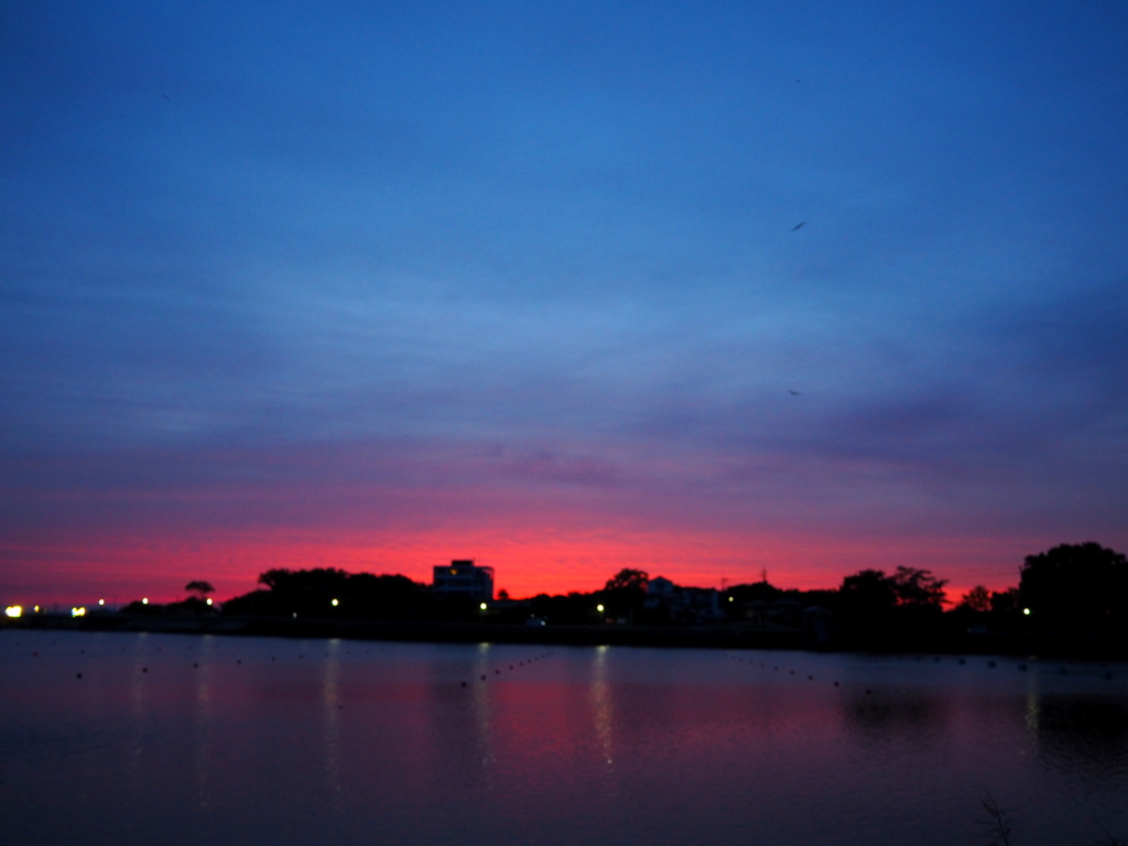 今日の夕陽。