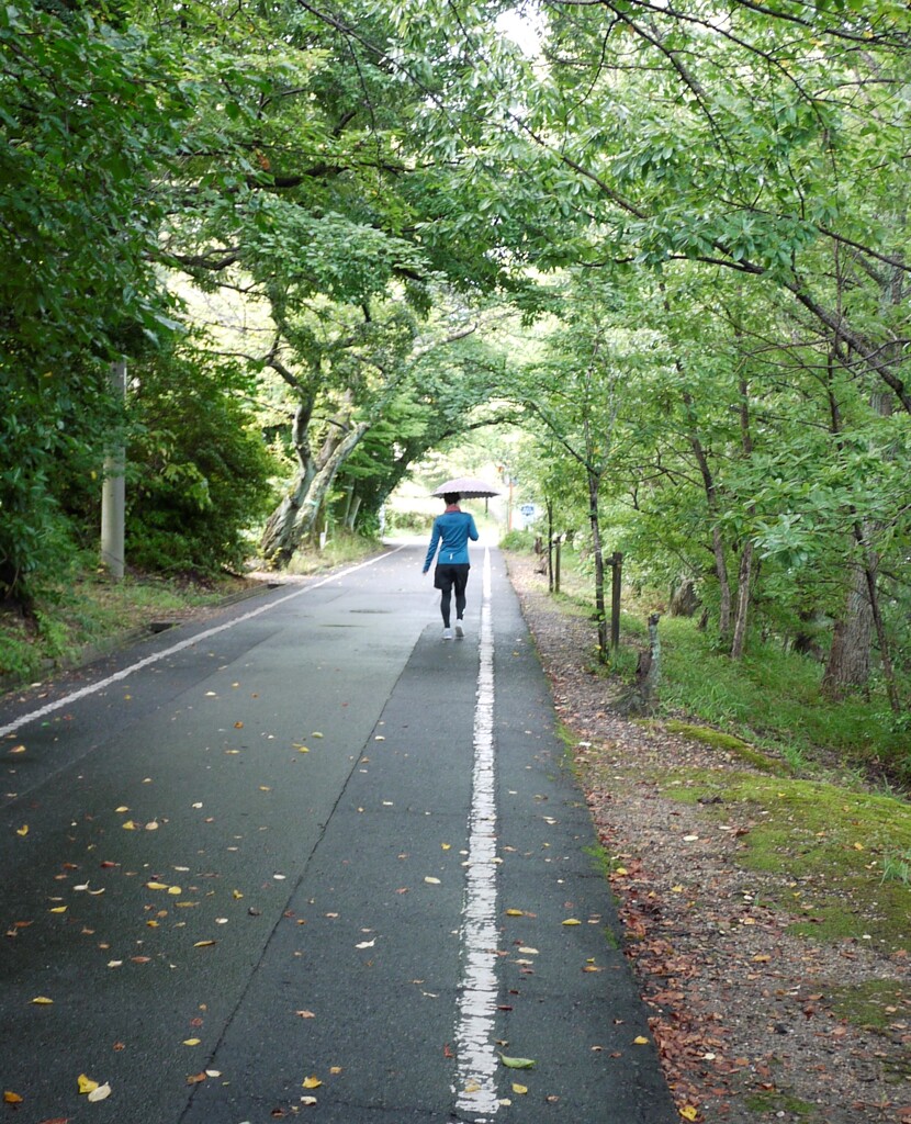 お散歩写真１