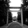 参拝。