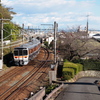 清見寺踏切にて。