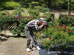 熱心に