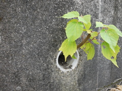 貴方は何処から１