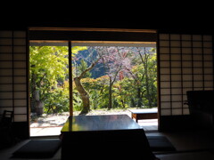 窓越しの光景。