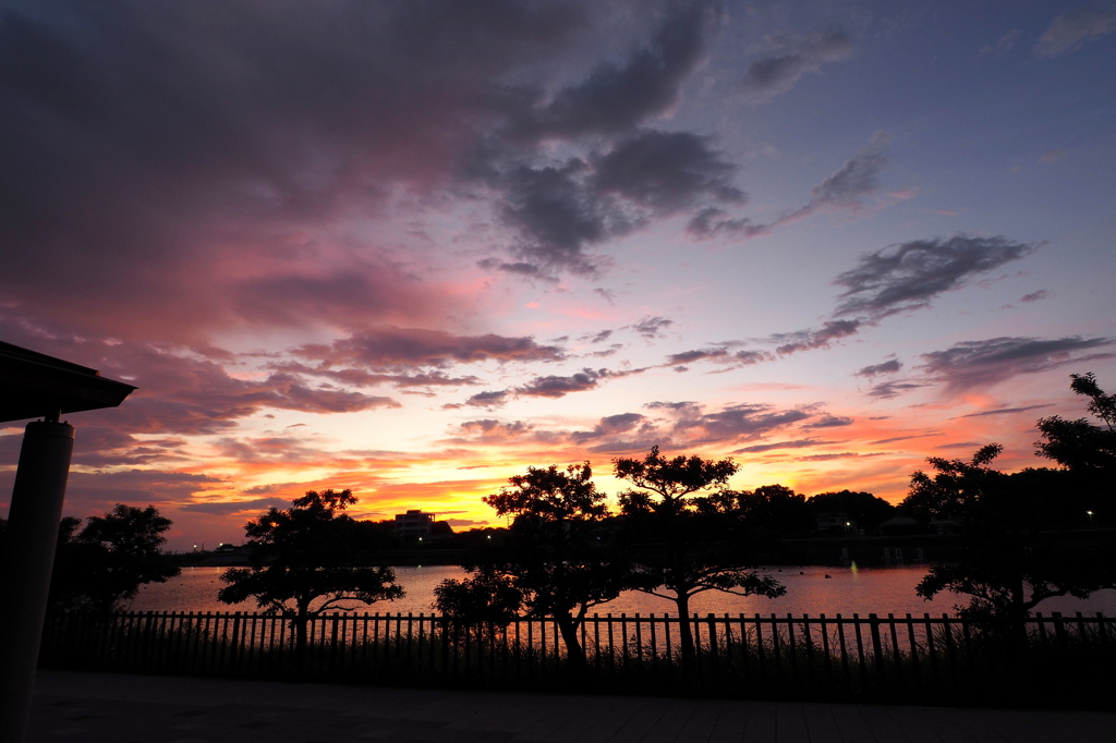 三好池夕景。