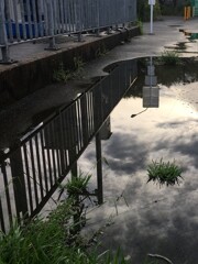 水たまり
