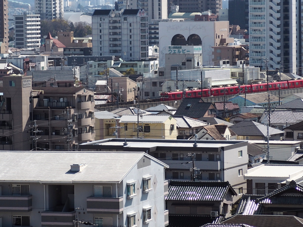 丘の上から。