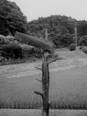 野志駅１