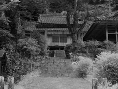 夢かけ風鈴９