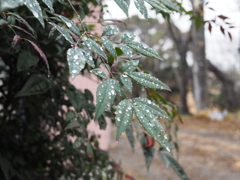 雨の日も楽しー３