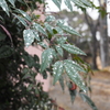 雨の日も楽しー３