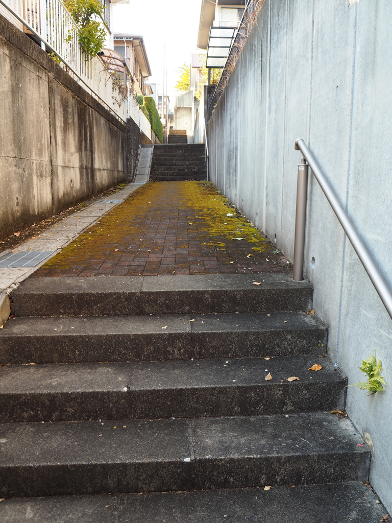 瀬戸の路地
