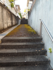 瀬戸の路地