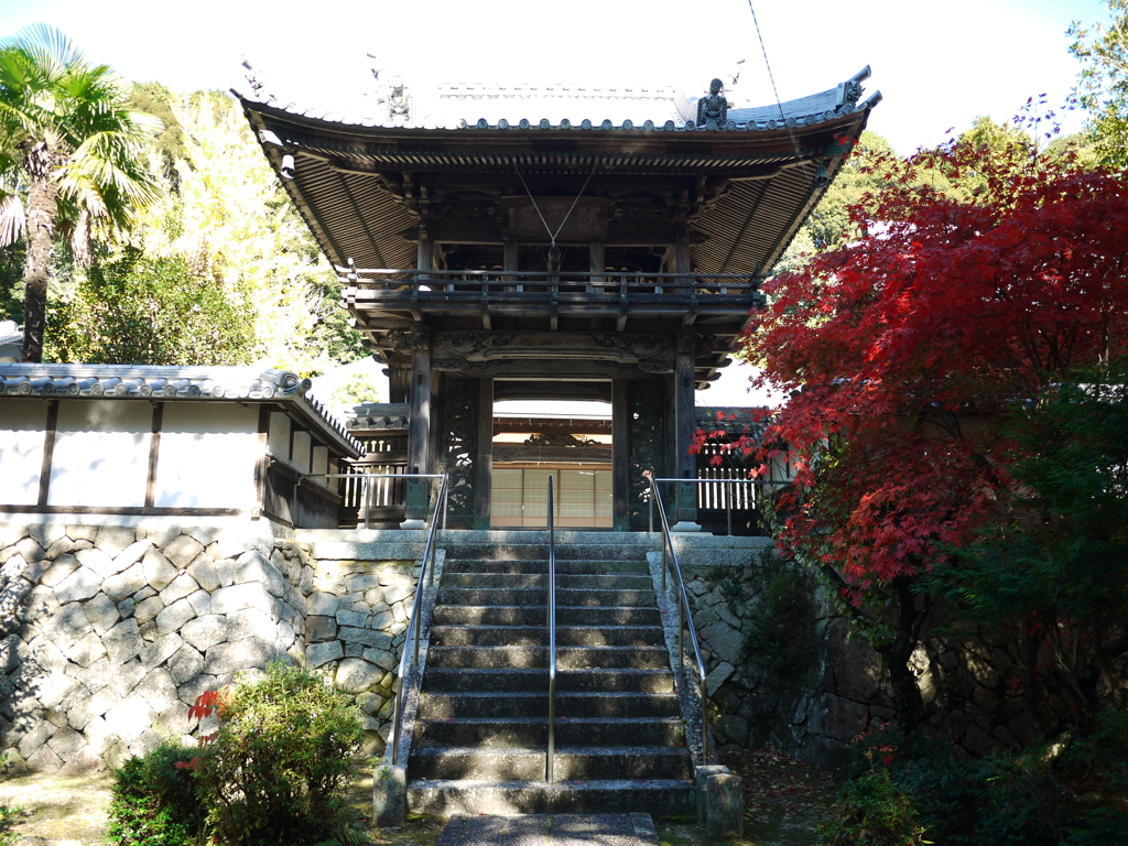 近場で紅葉４。