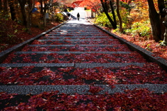赤い階段