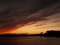 先日の夕景