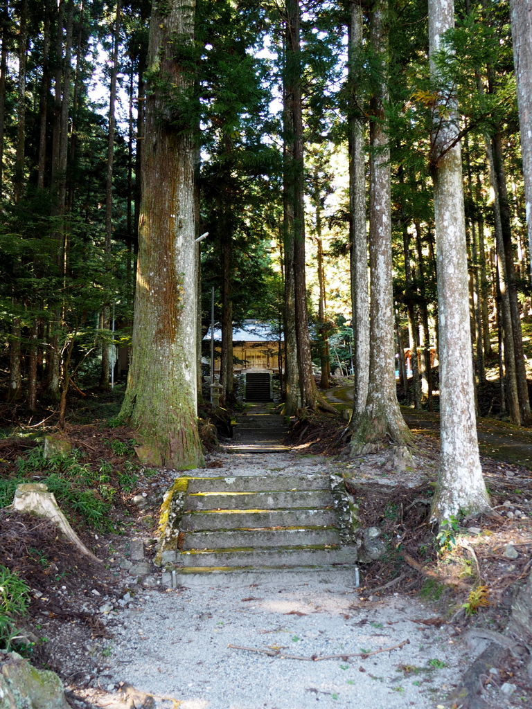 山中の神社。