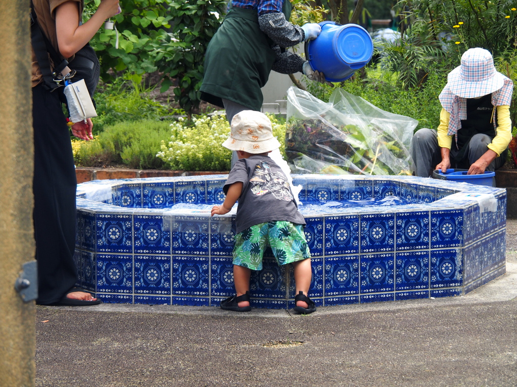 子供は水遊びが好き
