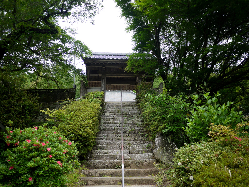 達磨寺