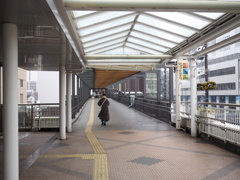 豊田ブラブラ。