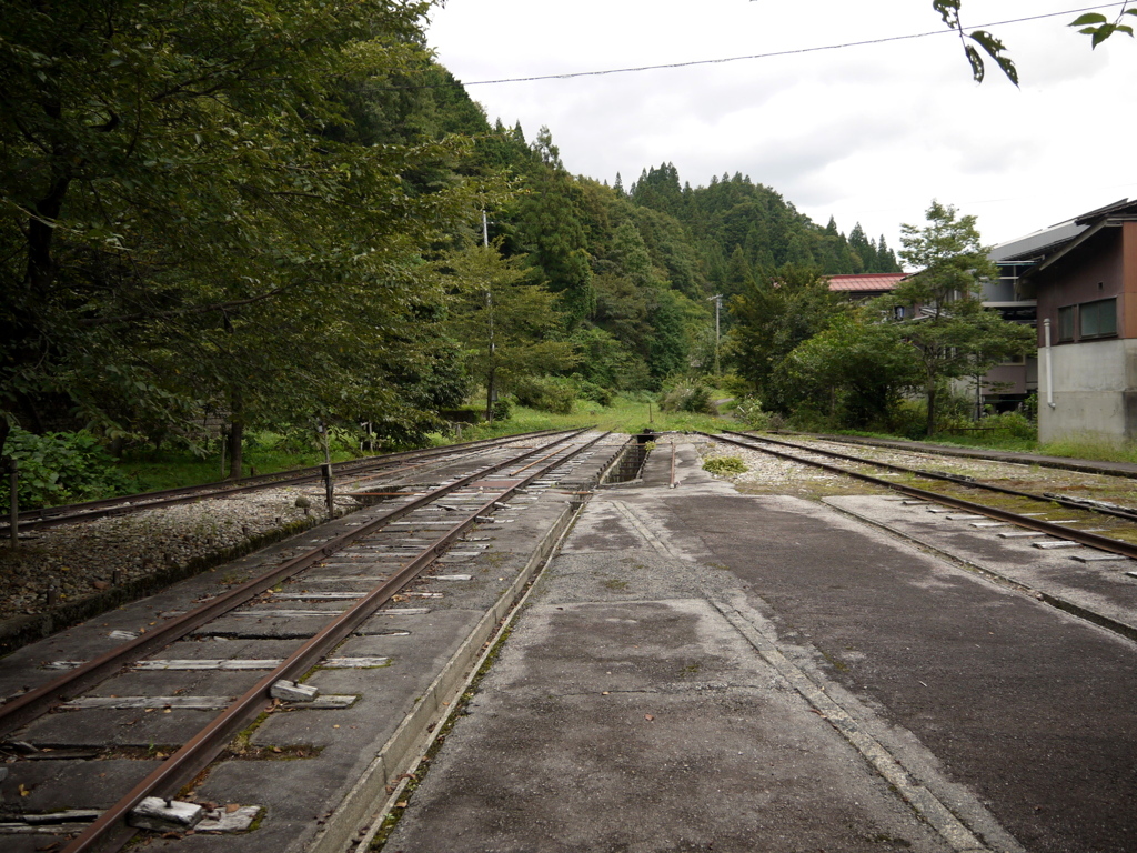 森の中に消える鉄路。