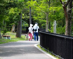 お散歩写真２