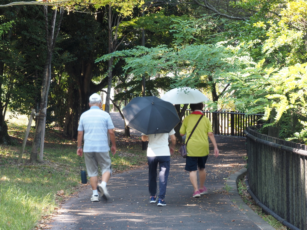 涼しい木蔭で