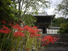 廣済寺４