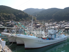 遊木漁港①