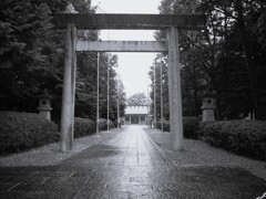 雨の神社